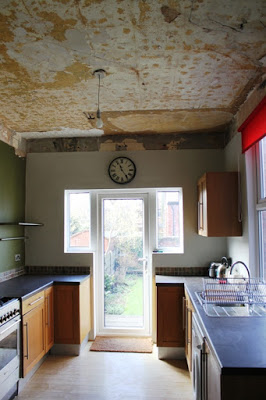 New Heights:  Adventures in Ripping Down the Kitchen Ceiling