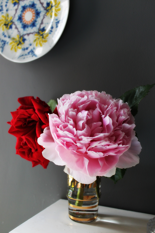 Bloomin’ Good:  Peonies, Bathroom Deadlines and Redesigns…