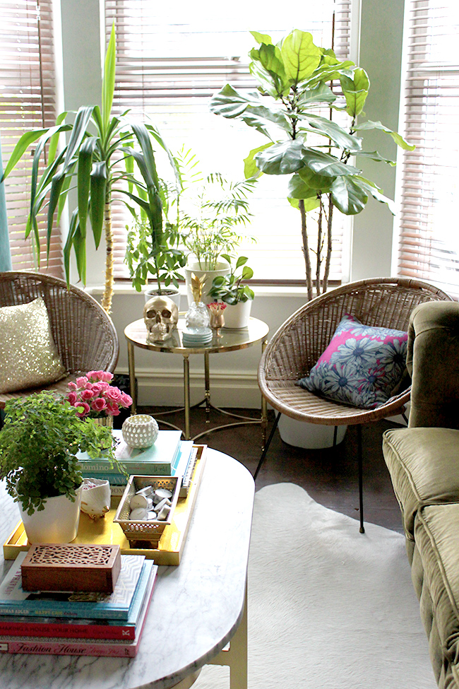 marble coffee table fiddle leaf fig