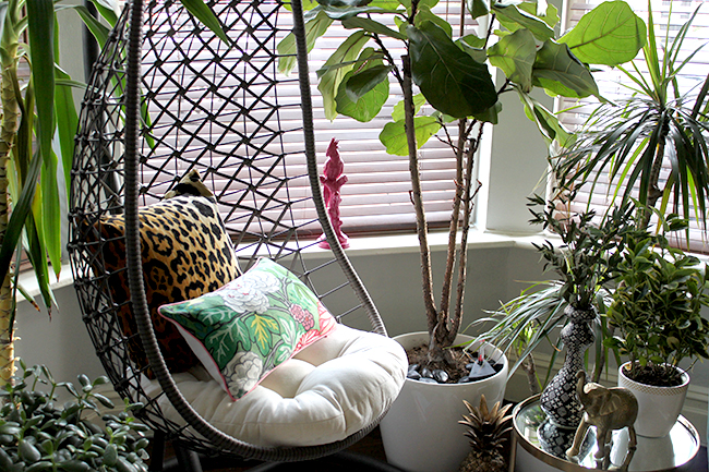 Jungle Trend - hanging chair, plants