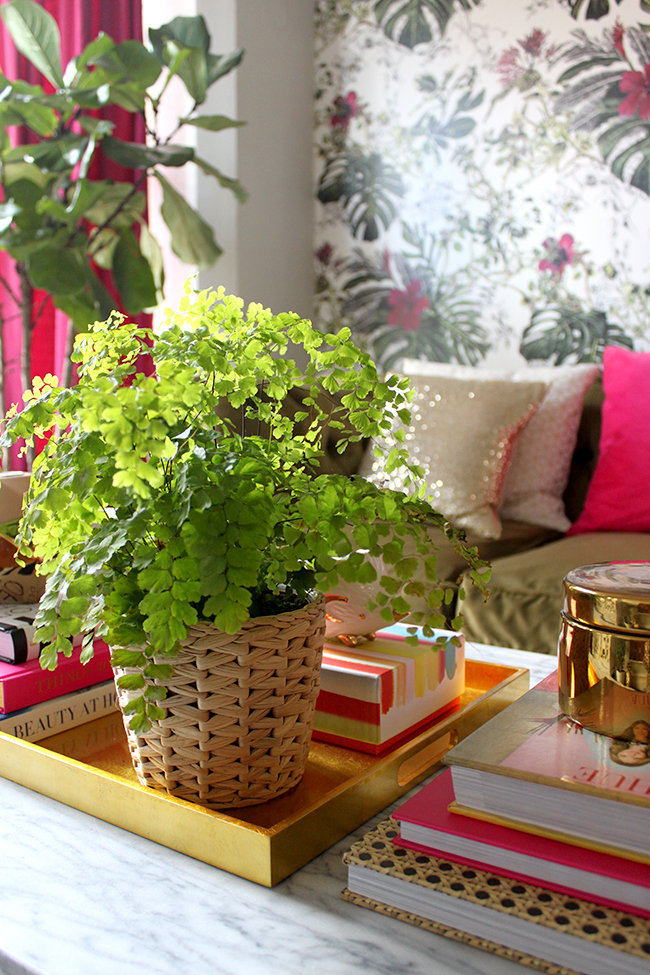 Swoon Worthy coffee table vignette