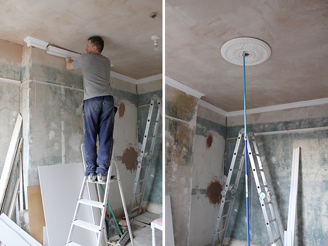 putting up cornicing and ceiling rose