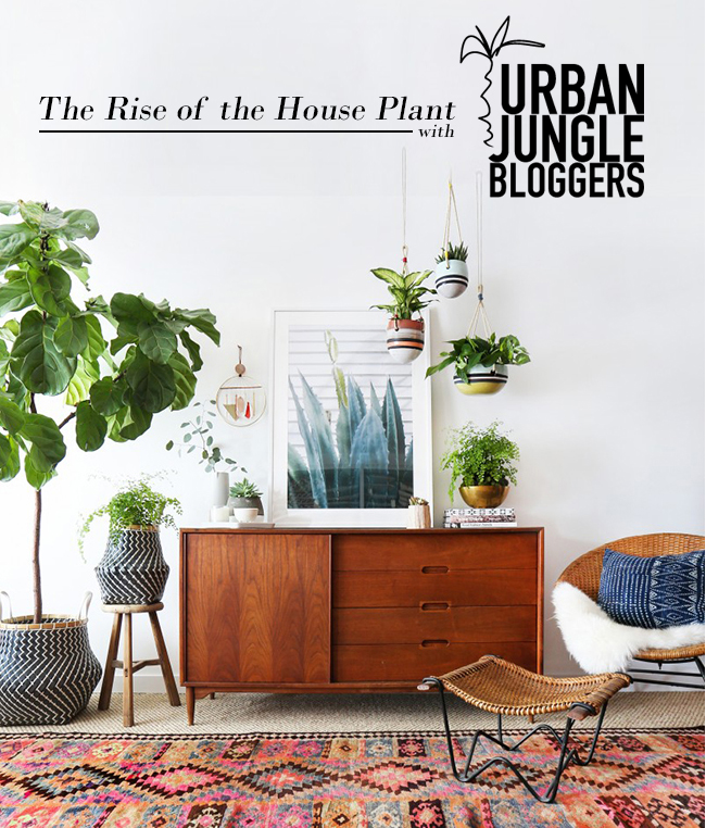 The Rise of the Houseplant with UJB logo