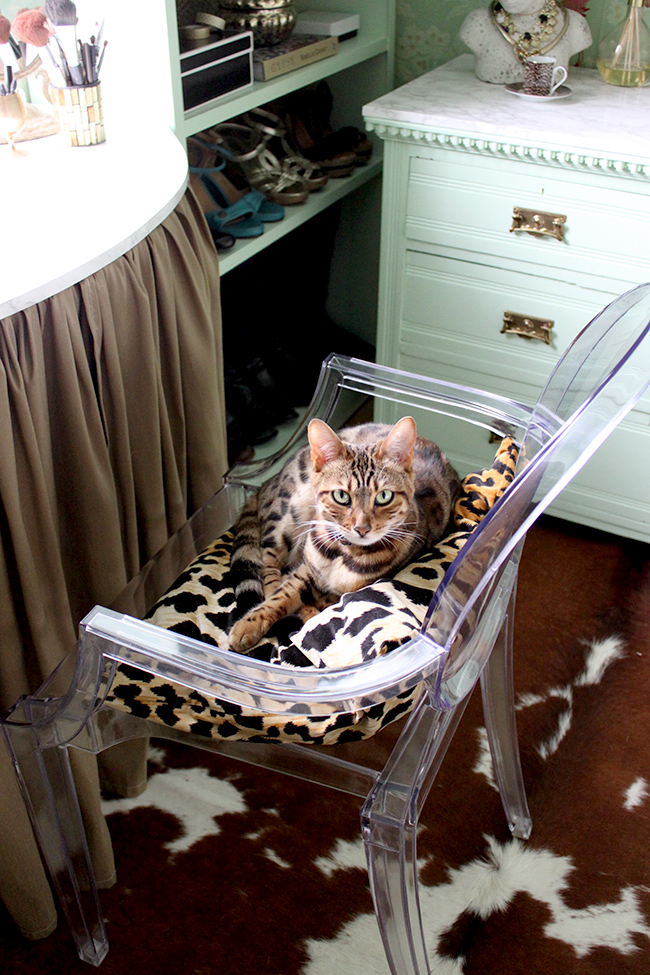 bengal cat leopard print cushion dressing room