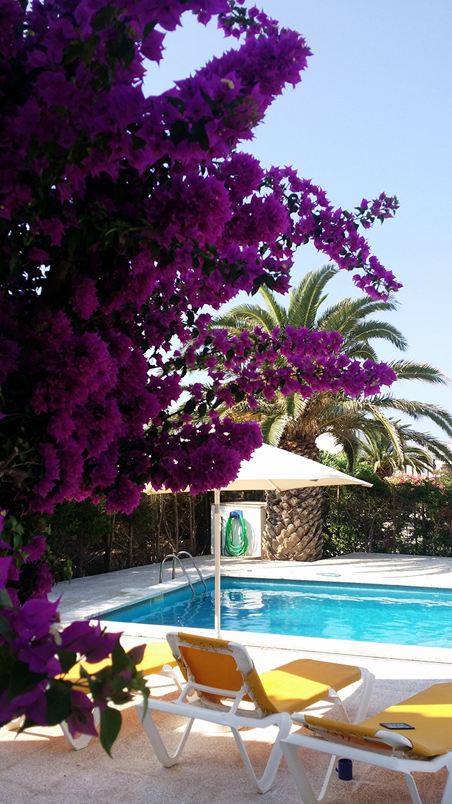 Bougainvillea and pool in Menorca villa