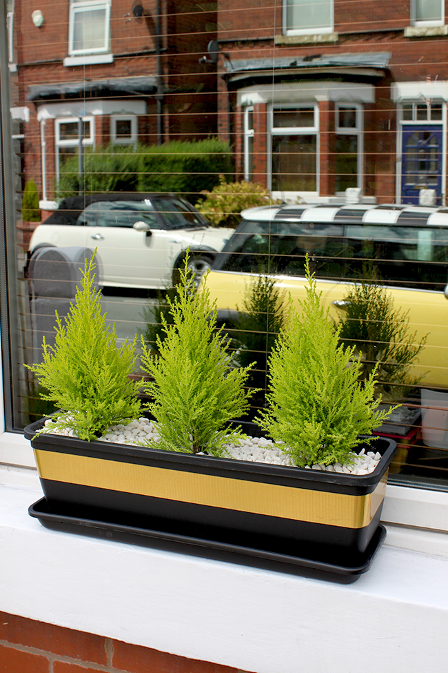 gold tape black window box - Swoon Worthy