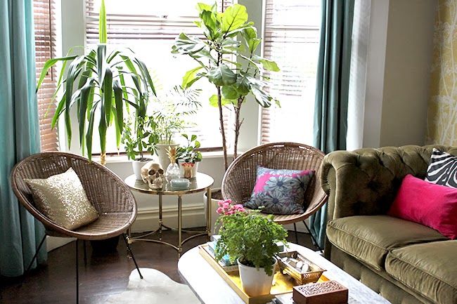 fiddle leaf fig Swoon Worthy living room