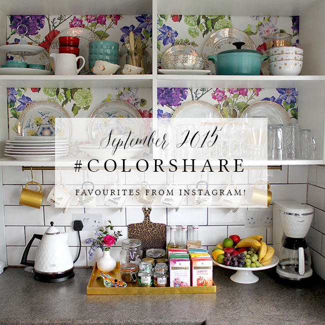 Colorshare Sept 2015 kitchen