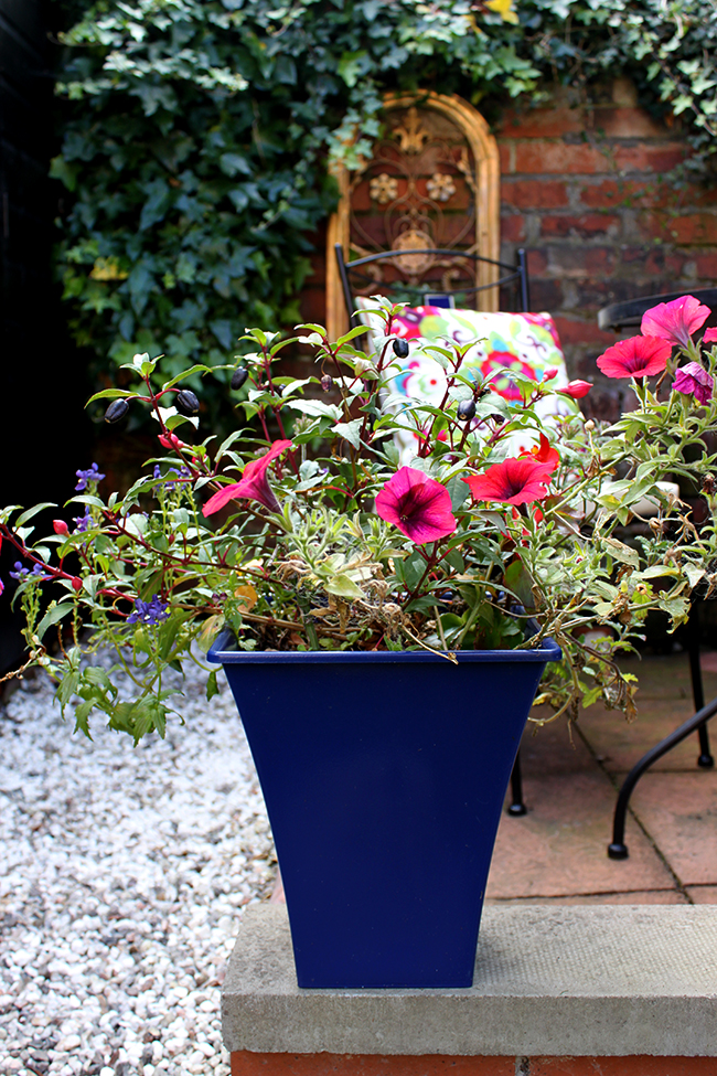 Swoon Worthy - Boho Garden Reveal - Small Patio with black shed