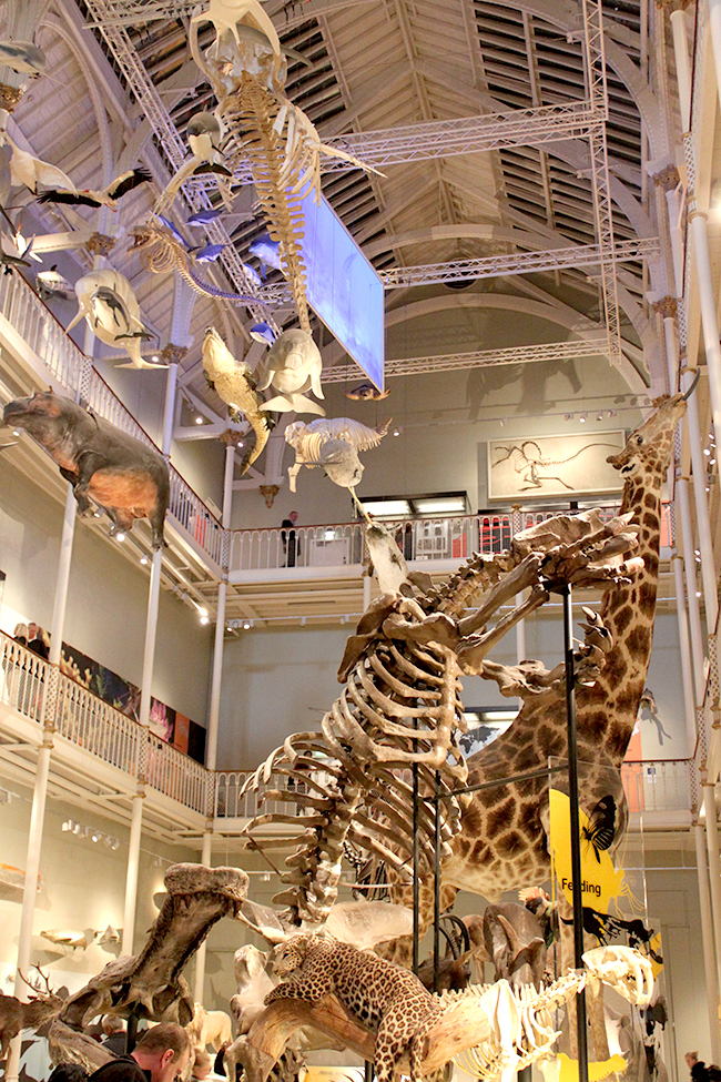 National Museum of Scotland