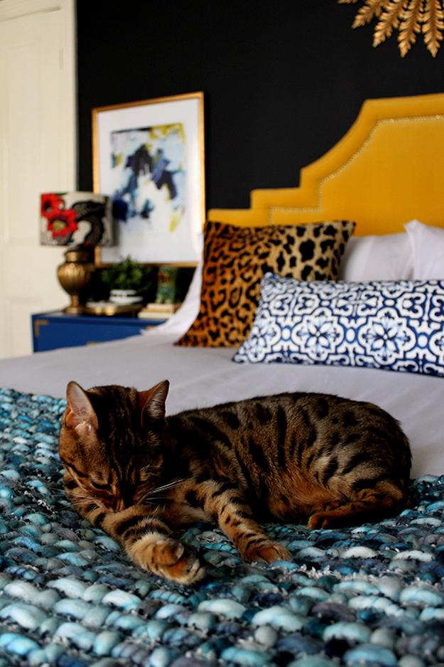 How Good Design Can Make You Sleep Better - black bedroom with cat on bed - www.swoonworthy.org