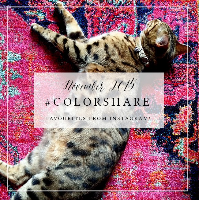 Colorshare Nov 2015 Meisha on rug