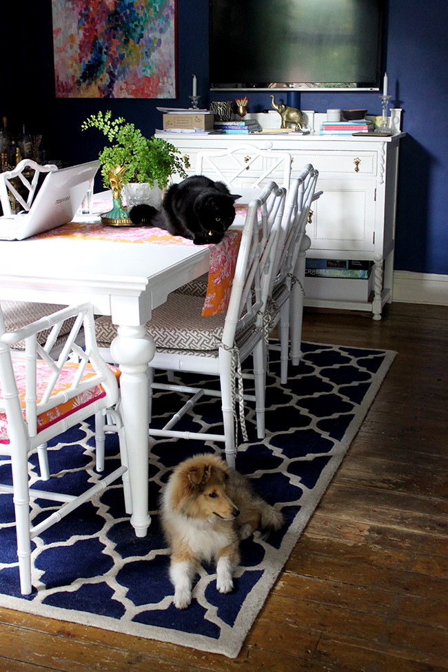 Swoon Worthy dark blue dining room with puppy and cat