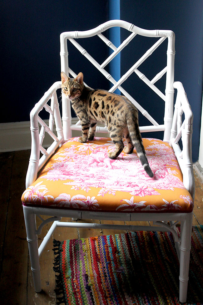 Swoon Worthy - white chippendale faux bamboo chair with bengal cat