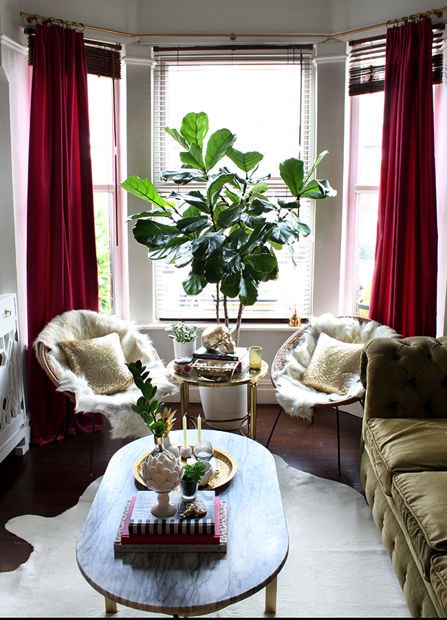 living room with vintage hoop chairs and fiddle leaf fig - see more at www.swoonworthy.org