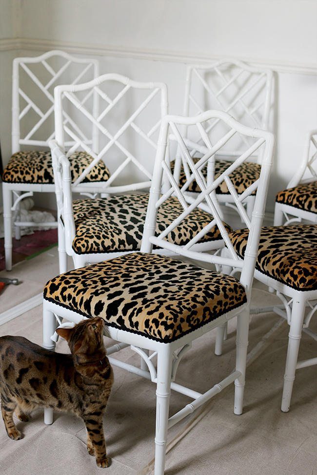 Bengal cat and leopard print jamil natural fabric faux bamboo chippendale chairs - see more at www.swoonworthy.org