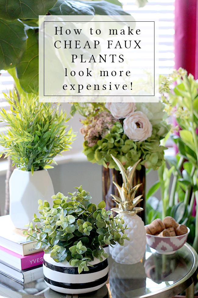 VIDEO: How to Make Cheap Faux Plants Look More Expensive