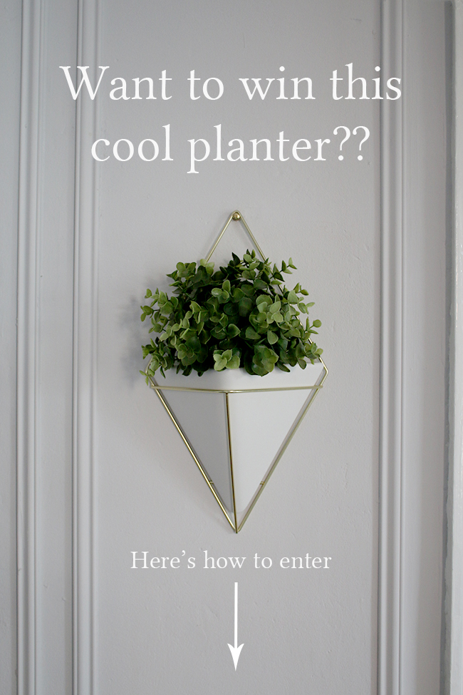 Urban Outfitters Hanging Wall Planter