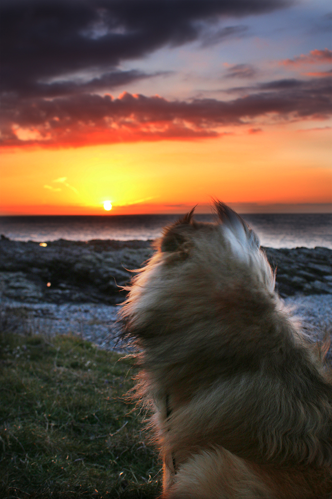 Take Me Away: A Weekend in Anglesey, Wales