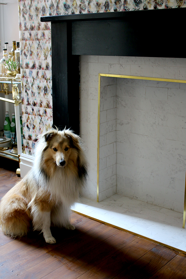 marble tile fireplace with brass trim and black hearth with graphic wallpaper modelled by a cute Sheltie - see the whole process on www.swoonworthy.org