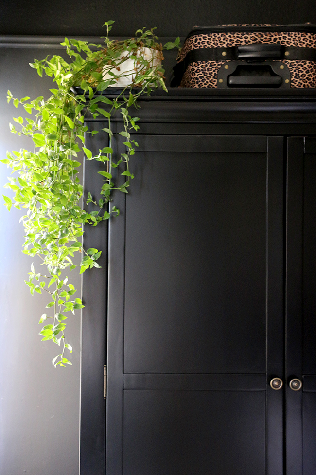 black wardrobe with hanging plant and leopard print luggage - see more on www.swoonworthy.org