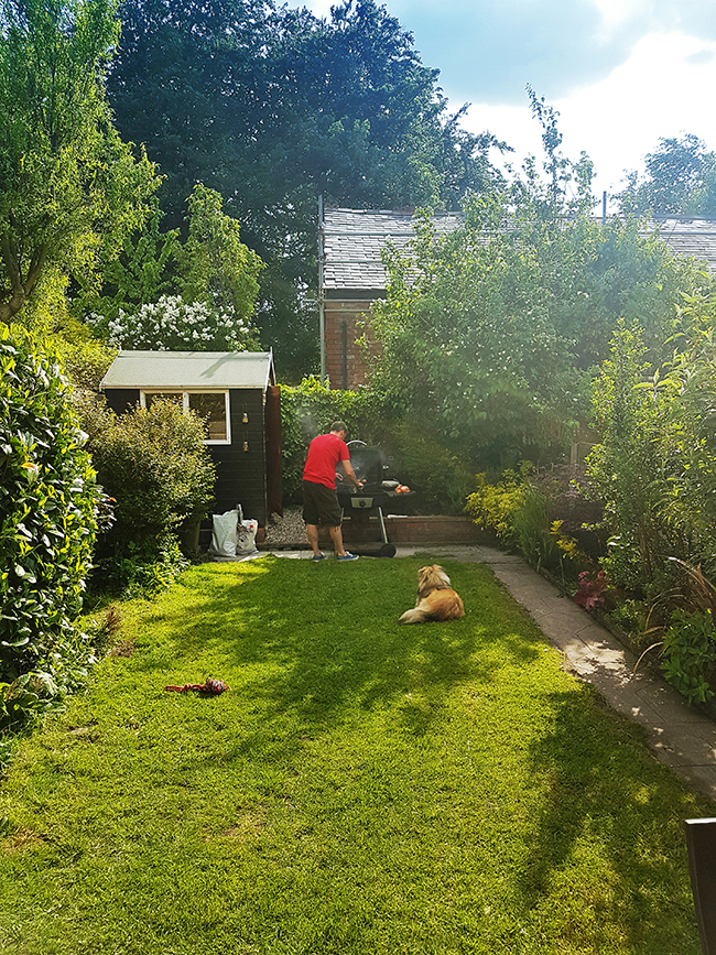 Our garden in May 2016