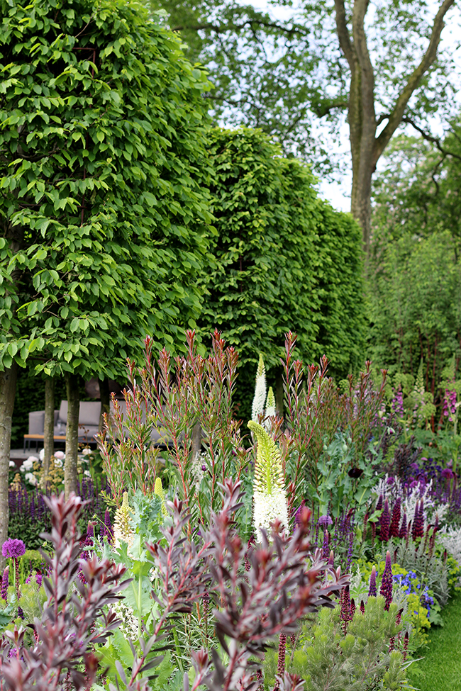 RHS Chelsea Flower Show 2016