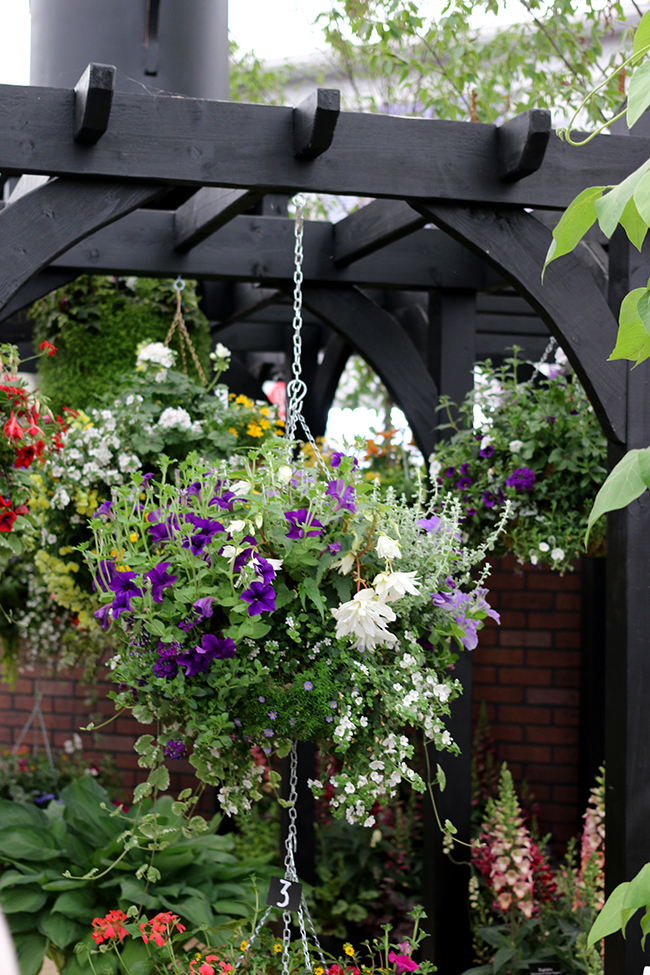 RHS Chelsea Flower Show 2016