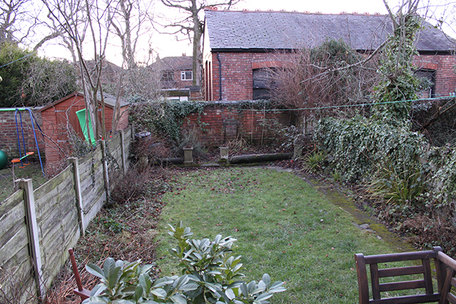 Back garden Jan 2011