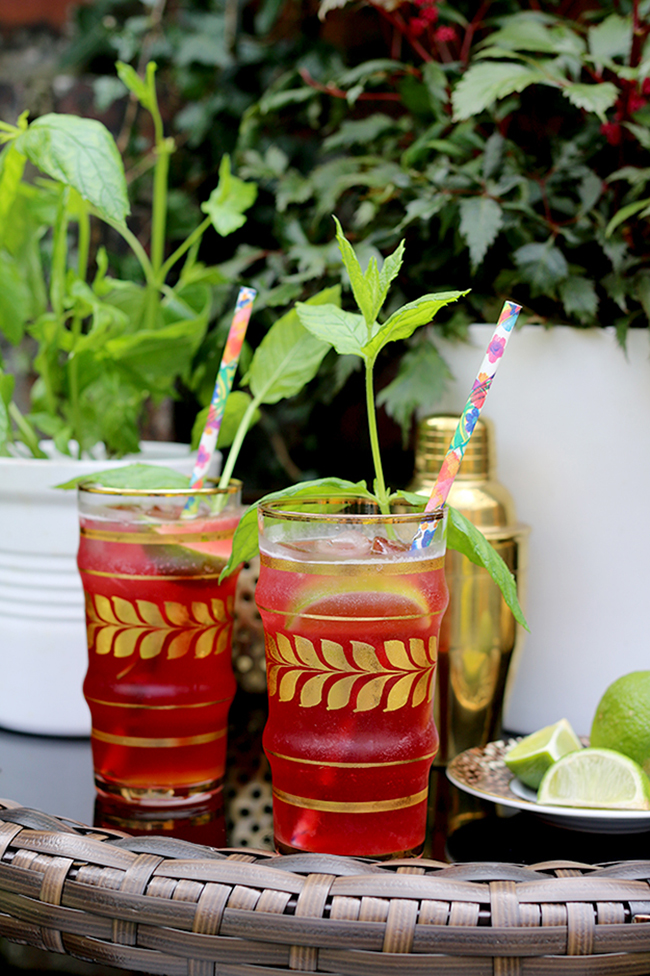 Cranberry and Mint Cocktail