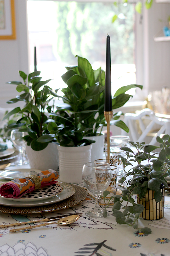 Colourful table setting with plants and animal prints