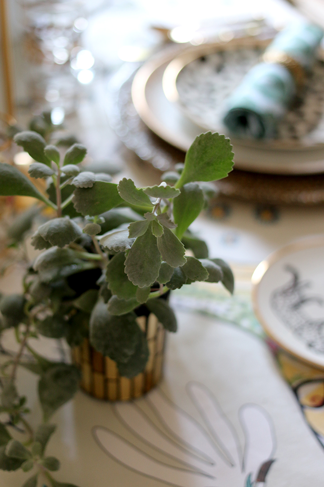 Colourful table setting with plants and animal prints