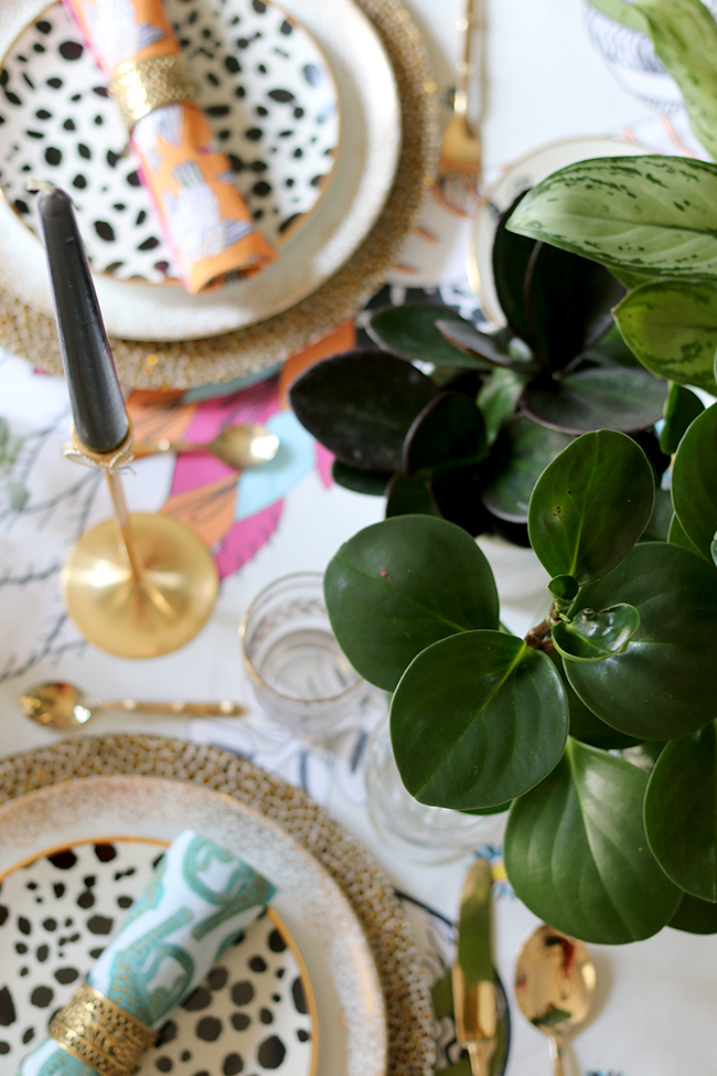 Colourful table setting with plants and animal prints