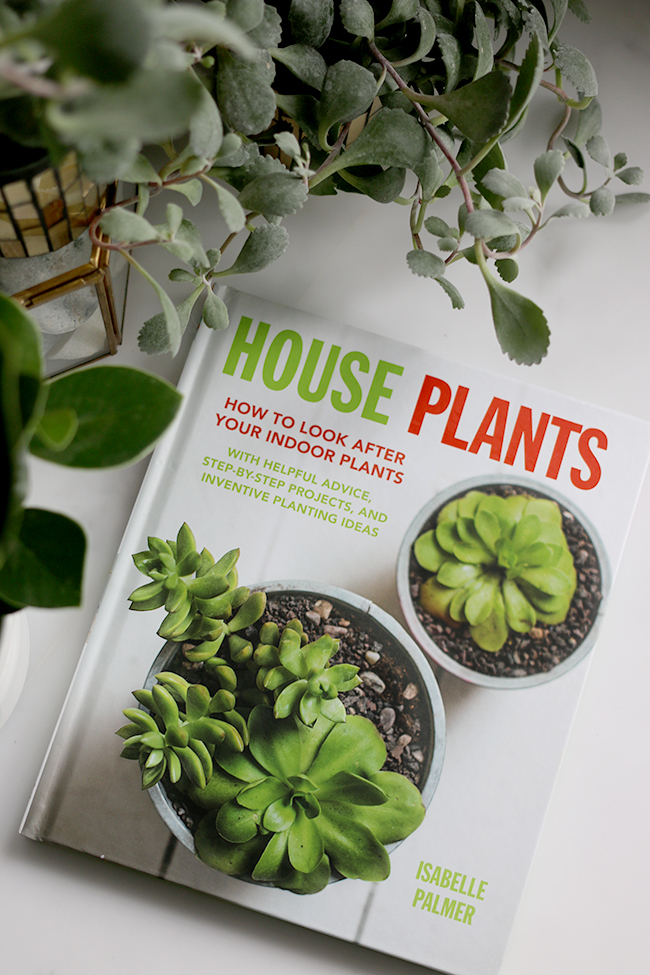 House Plants How to Look After Your Indoor Plants Isabelle Palmer