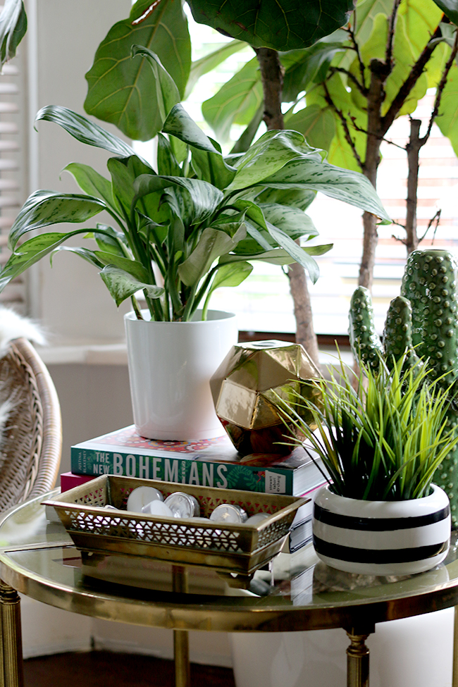 side table vignette styling with green plants and books