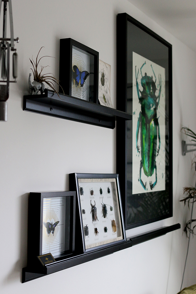 curious-apartment-gallery-wall