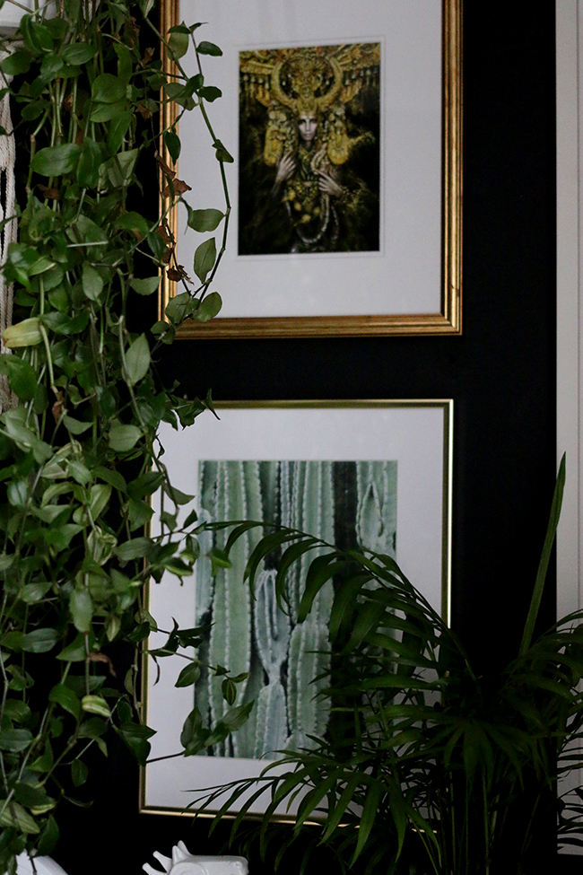 artwork with houseplants on black walls