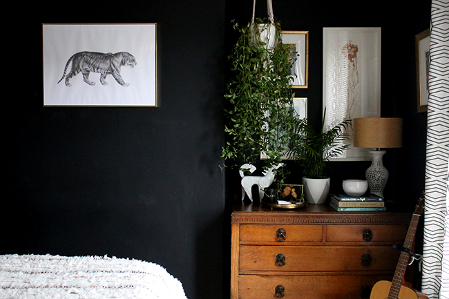 vintage chest of drawers with gallery wall and hanging plant on black wall