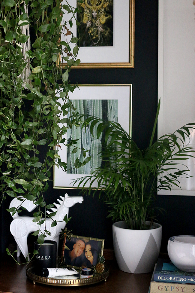 artwork with houseplants on black walls