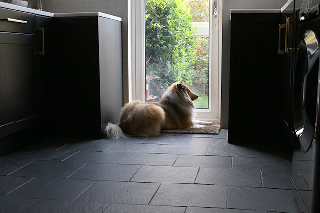 black kitchen cabinets slate floor with dog in kitchen