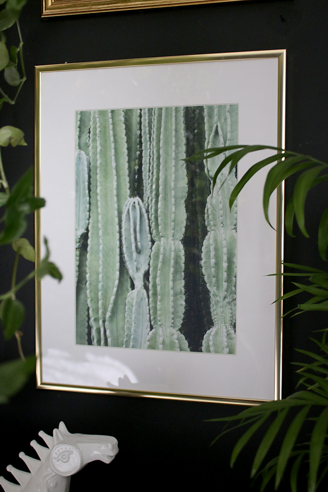 Desenio Art prints Cactus 