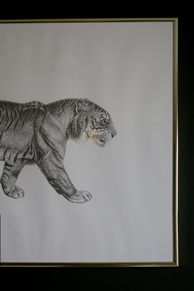 Desenio Art Print Tiger 50 x 70