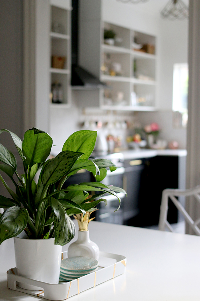 view of kitchen through the dining room