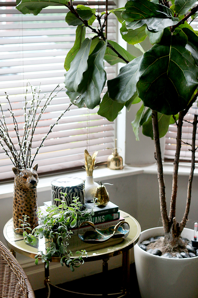 fiddle leaf fig with vintage brass and glass table and small table vignette styling