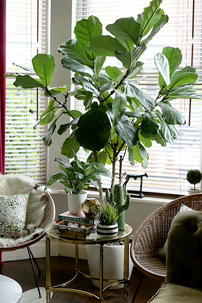 How to Style with Plants - using large plants to add visual height