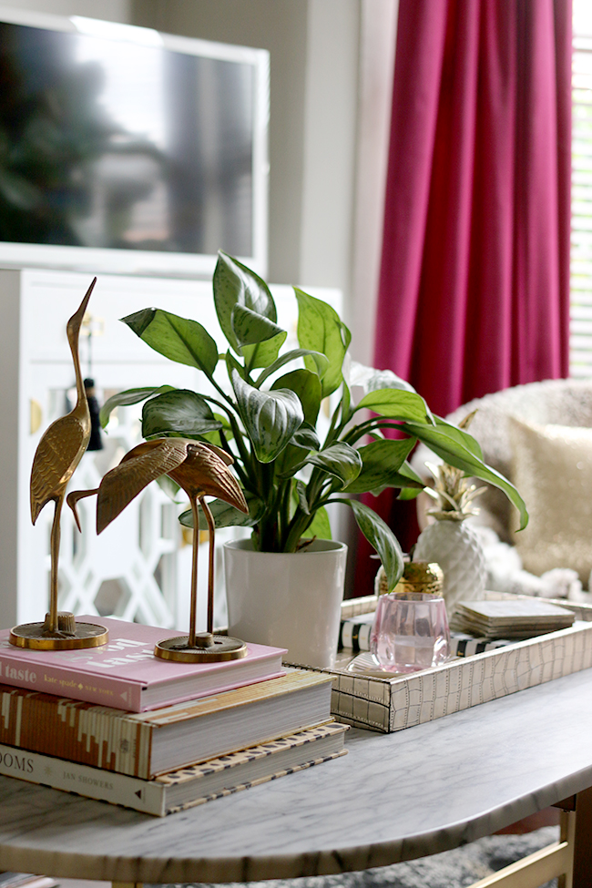 How to Style with Plants: Using Plants within a Vignette