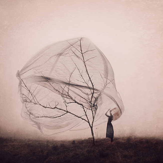 Kylli Sparre Mutual Forgetfulness