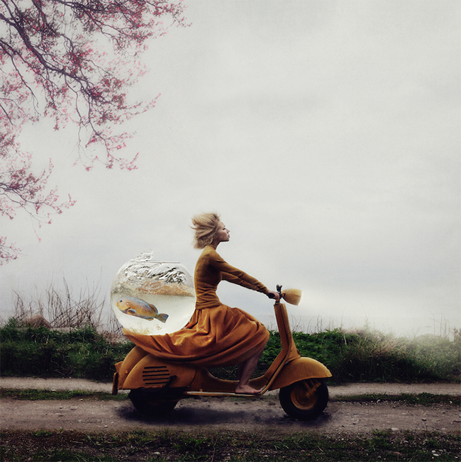 Kylli Sparre Rescue Operation