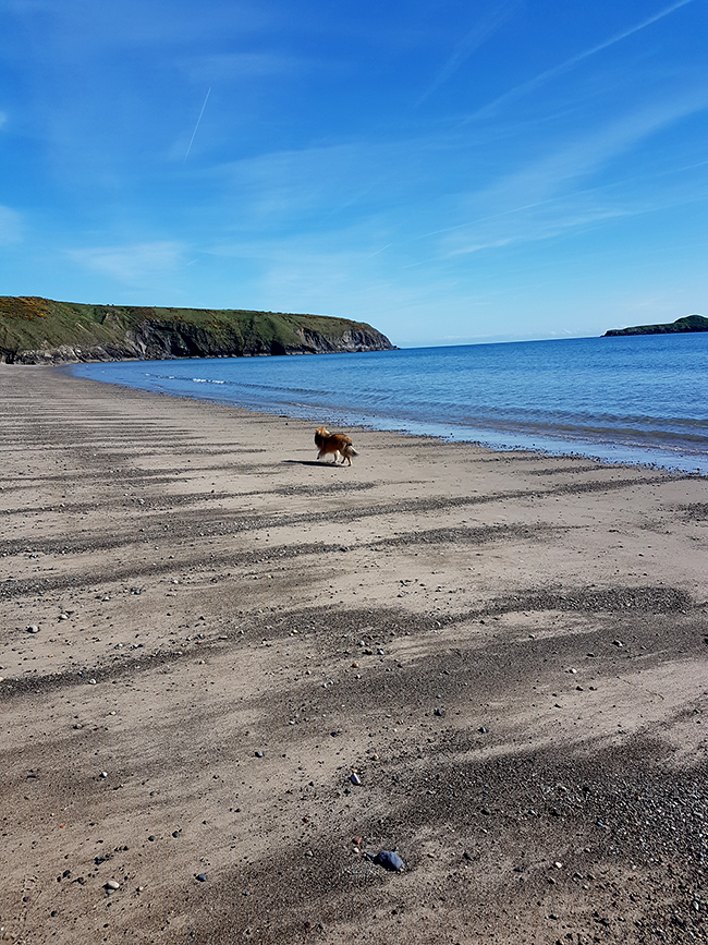 Aberdaron Wales beach Quito