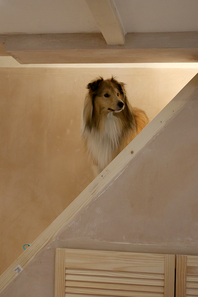 An update on the man cave - plastering the cellar